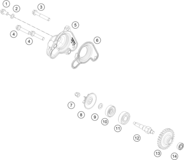 product4969566.png