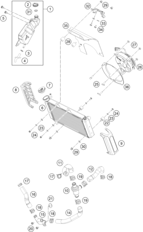 product4972028.png